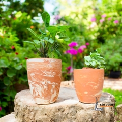 Bộ 3 Chậu Gốm Đất Nung Dáng Vót Cao Miệng Giả Loang Marble Trồng Kiểng Lá - Gốm Sứ Sân Vườn
