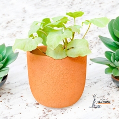 Chậu Gốm Đất Nung Dáng Trứng Vân Hoa Cúc - Gốm Sứ Sân Vườn