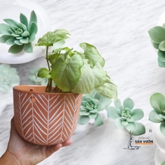 Chậu Treo Dây Gốm Đất Nung Hoa Văn Xương Cá - Gốm Sứ Sân Vườn