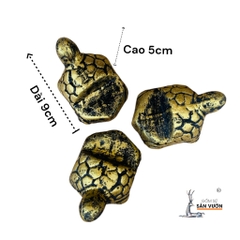 Bộ 3 Viên Kê Chậu Gốm Đất Nung Hình Rùa - Gốm Sứ Sân Vườn