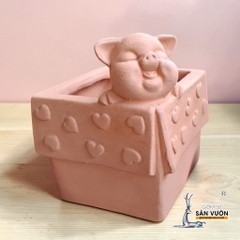 Chậu Gốm Đất Nung Hình Chú Heo Trong Hộp Quà - Gốm Sứ Sân Vườn