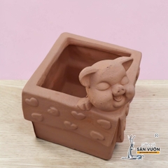 Chậu Gốm Đất Nung Hình Chú Heo Trong Hộp Quà - Gốm Sứ Sân Vườn