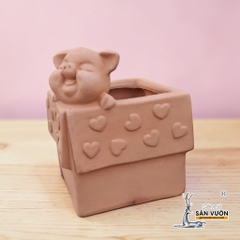 Chậu Gốm Đất Nung Hình Chú Heo Trong Hộp Quà - Gốm Sứ Sân Vườn