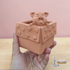 Chậu Gốm Đất Nung Hình Chú Heo Trong Hộp Quà - Gốm Sứ Sân Vườn