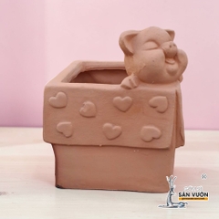 Chậu Gốm Đất Nung Hình Chú Heo Trong Hộp Quà - Gốm Sứ Sân Vườn