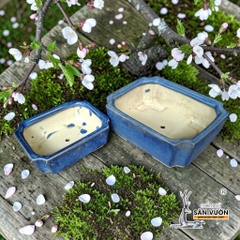 Chậu Bonsai Chữ Nhật Tráng Men Xanh - Gốm Sứ Sân Vườn
