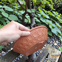 Chậu Đất Nung Dáng Dẹt Vân Tổ Ong Thích Hợp Trồng Bonsai - Gốm Sứ Sân Vườn