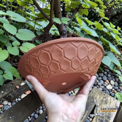 Chậu Đất Nung Dáng Dẹt Vân Tổ Ong Thích Hợp Trồng Bonsai - Gốm Sứ Sân Vườn
