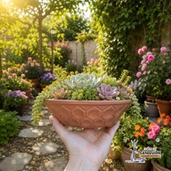 Chậu Đất Nung Dáng Dẹt Vân Tổ Ong Thích Hợp Trồng Bonsai - Gốm Sứ Sân Vườn