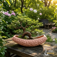 Chậu Gốm Đất Nung Thuyền Hoa Thuận Buồm Xuôi Gió - Gốm Sứ Sân Vườn