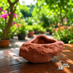 Chậu Gốm Đất Nung Hình Trái Tim Đá - Gốm Sứ Sân Vườn