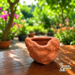 Chậu Gốm Đất Nung Hình Trái Tim Đá - Gốm Sứ Sân Vườn