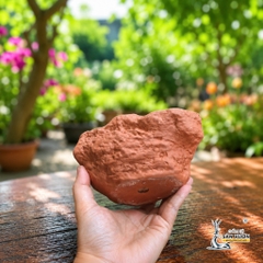 Chậu Gốm Đất Nung Hình Trái Tim Đá - Gốm Sứ Sân Vườn