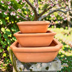 Chậu Gốm Đất Nung Hình Chữ Nhật Bo Góc Trồng Bonsai - Gốm Sứ Sân Vườn