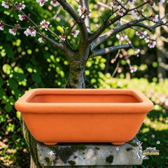 Chậu Gốm Đất Nung Hình Chữ Nhật Bo Góc Trồng Bonsai - Gốm Sứ Sân Vườn