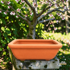 Chậu Gốm Đất Nung Hình Chữ Nhật Bo Góc Trồng Bonsai - Gốm Sứ Sân Vườn