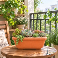 Chậu Gốm Đất Nung Hình Chữ Nhật Bo Góc Trồng Bonsai - Gốm Sứ Sân Vườn