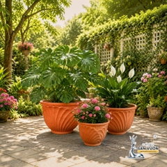 Bộ 3 Chậu Bầu Miệng Loe Họa Tiết Vỏ Sò - Gốm Sứ Sân Vườn