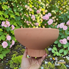 Chậu Gốm Đất Nung Hình Cúp Trơn Chân Sọc - Ngang 23cm x Cao 13.5cm - Gốm Sứ Sân Vườn