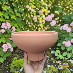 Chậu Gốm Đất Nung Hình Cúp Trơn Chân Sọc - Ngang 23cm x Cao 13.5cm - Gốm Sứ Sân Vườn