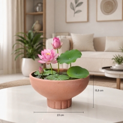 Chậu Gốm Đất Nung Hình Cúp Trơn Chân Sọc - Ngang 23cm x Cao 13.5cm - Gốm Sứ Sân Vườn