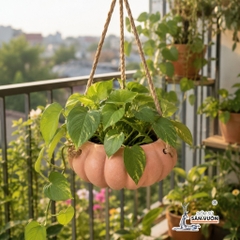 Chậu Treo Dây Gốm Đất Nung Hình Bí Ngô 18 x 10 cm - Gốm Sứ Sân Vườn