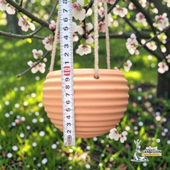 Chậu Treo Dây Gốm Đất Nung Hình Con Ong 12 x 10 cm - Gốm Sứ Sân Vườn