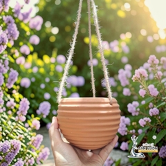 Chậu Treo Dây Gốm Đất Nung Hình Con Ong 12 x 10 cm - Gốm Sứ Sân Vườn