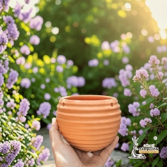 Chậu Treo Dây Gốm Đất Nung Hình Con Ong 12 x 10 cm - Gốm Sứ Sân Vườn