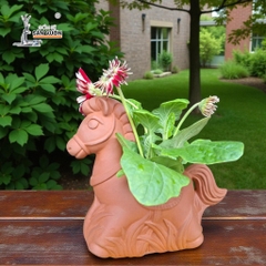 Chậu Gốm Đất Nung Hình Ngựa Gỗ - Gốm Sứ Sân Vườn