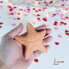 Treo Decor Trái Tim Và Sao Biển Gốm Đất Nung - Gốm Sứ Sân Vườn