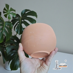 Chậu Gốm Đất Nung Dáng Trứng Tròn Trơn - Gốm Sứ Sân Vườn