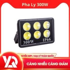 Đèn Pha Ly 300w