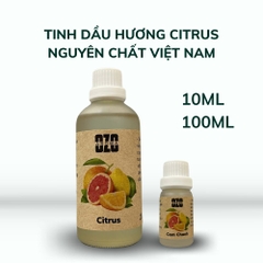 Tinh Dầu Hương Citrus (Cam, Chanh, Bưởi, Quýt)