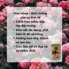 Tinh Dầu Hoa Hồng