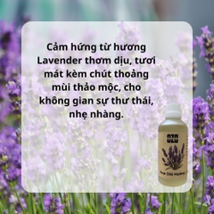 Tinh Dầu Hoa Oải Hương