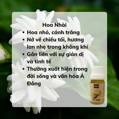 Hương Tinh Dầu Hoa Nhài