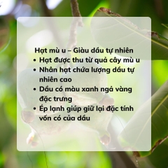 Dầu Mù U Ép Lạnh Thô - Chai 50ml