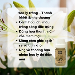 Tinh Dầu Hoa Ly