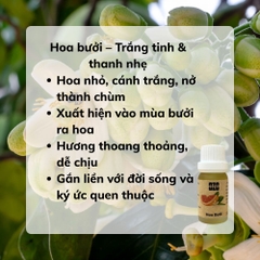 Hương Tinh Dầu Hoa Bưởi