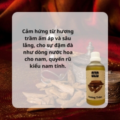 Hương Tinh Dầu Trầm