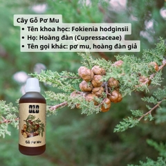 Tinh Dầu Gỗ Pơ Mu