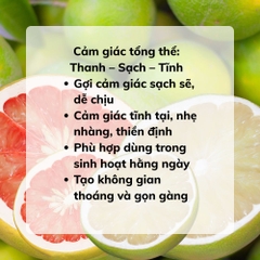 Tinh Dầu Vỏ Bưởi