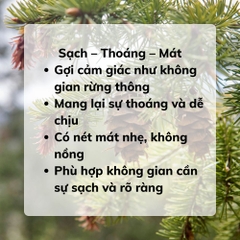 Tinh Dầu Gỗ Thông
