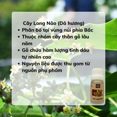 Tinh Dầu Gỗ Long Não