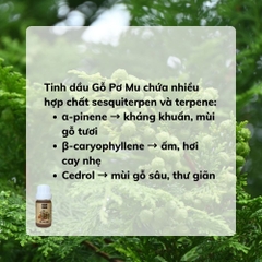 Tinh Dầu Gỗ Pơ Mu