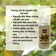 Tinh Dầu Hồi