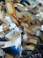 {Đủ Mẫu} BỘ DỤNG CỤ MASSAGE - ẤN HUYỆT - CẠO GIÓ BẰNG SỪNG TỰ NHIÊN