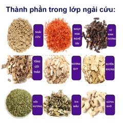 Combo Thảm  Lót Ngải Cứu Đông Y – Giữ Ấm, Giảm Đau, Thư Giãn