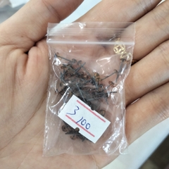 {Đủ Cỡ, Giá Sỉ, Giá Bán Buôn} Mắt Thú  Trong Nghệ Thuật Tỉa Rau Củ Quả, Đồ Thủ Công, Thú Nhồi Bông Carving Simulation Eye